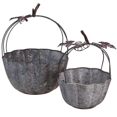 Floristik24 Bol à plantes métal citrouille pot décoratif zinc Ø21/30cm lot de 2 pièces