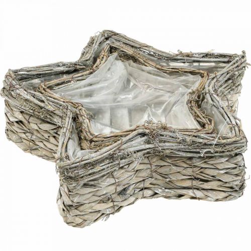 Article Jardinière étoile, jardinière jonc de mer Ø32/23,5cm lot de 2