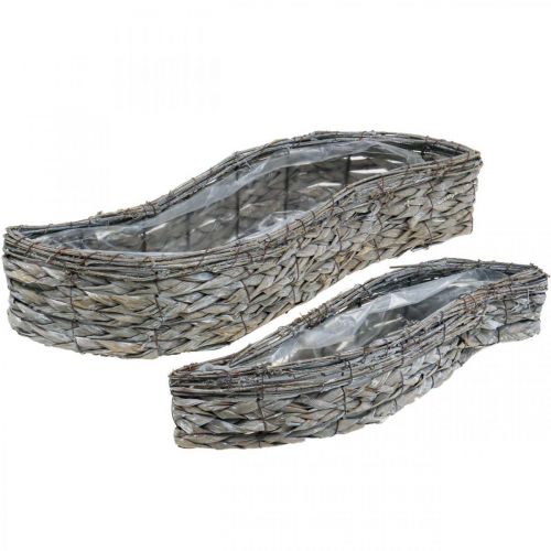 Bol à plantes, bac à plantes gris 48,5/31,5 cm lot de 2