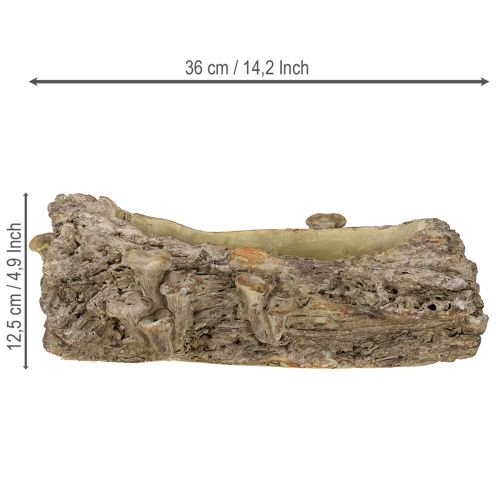 Article Jardinière en pierre reconstituée tronc d'arbre avec champignons 36×18×12,5cm