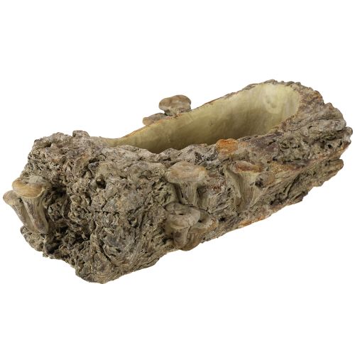 Article Jardinière en pierre reconstituée tronc d'arbre avec champignons 36×18×12,5cm