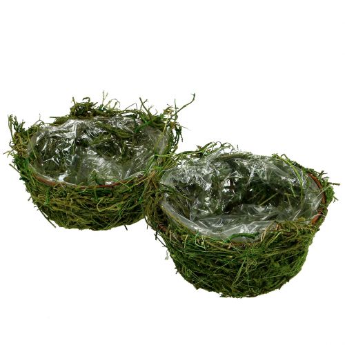 Cache-pot avec mousse Ø16cm H9cm - 10cm vert 3pcs