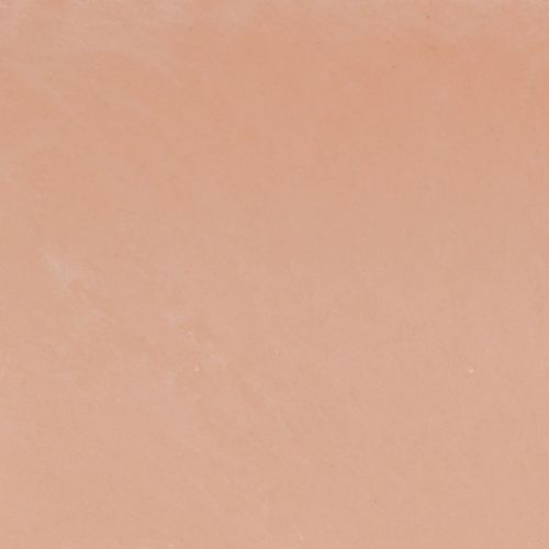 Article Bol à plantes ovale décoratif en plastique rose marron 27×11×10cm 3pcs