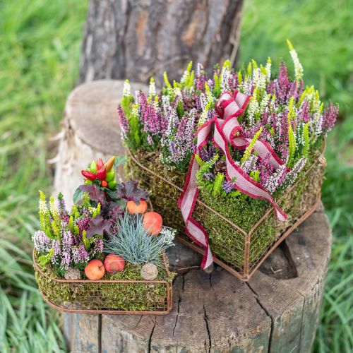 Bol à plantes panier en maille coeur métal rouille 20/24,5/30 lot de 3