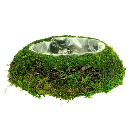 Floristik24 Coupe à plantes en mousse et sarments Ø 25 cm