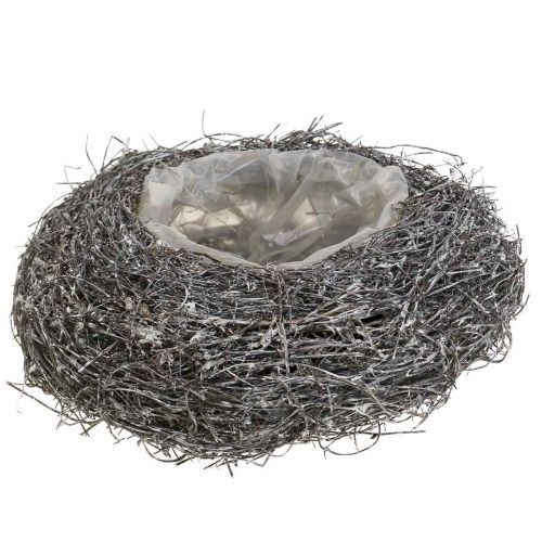 Panier à Plantes Bol à Plantes Vignes Blanc Lavé Ø20cm H8cm