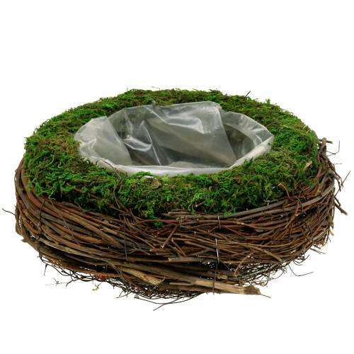 Jardinière en rotin, mousse Ø26cm H9cm