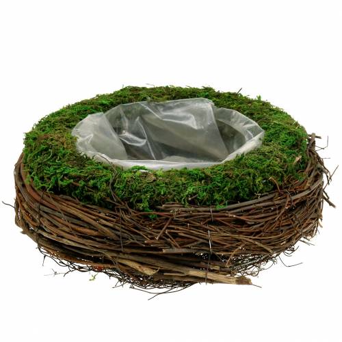 Floristik24 Jardinière en rotin, mousse Ø26cm H9cm