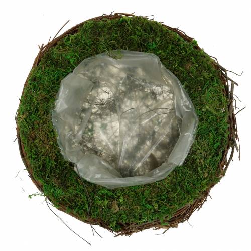 Floristik24 Jardinière en rotin, mousse Ø26cm H9cm
