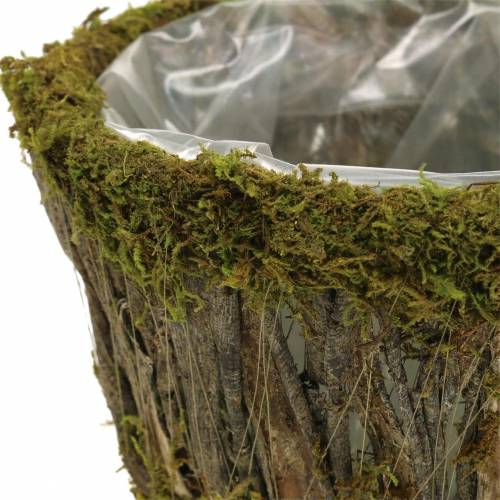 Floristik24 Bol pour plante mousse/écorce rond Ø15/20cm lot de 2