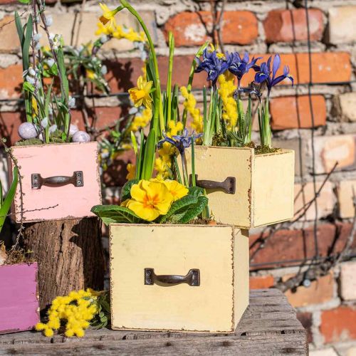 Floristik24 Jardinière bac à plantes bois jaune 12,5/16cm lot de 2
