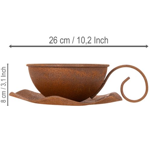 Pot de fleurs avec soucoupe, finition rouille, Ø 19,5 cm, H 8 cm | Floristik24.be