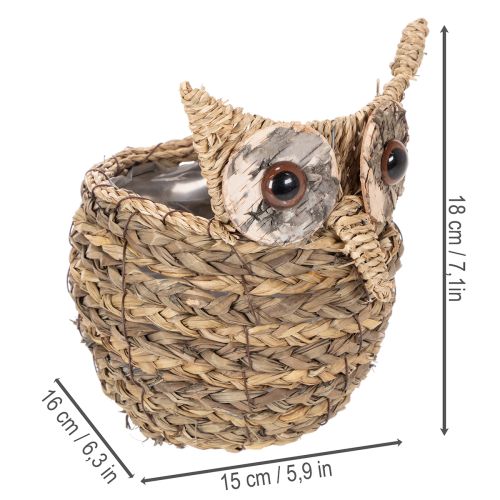 Panier décoratif en forme de hibou, tressé à la main, pour rebord de fenêtre, 18 cm | Floristik24.be