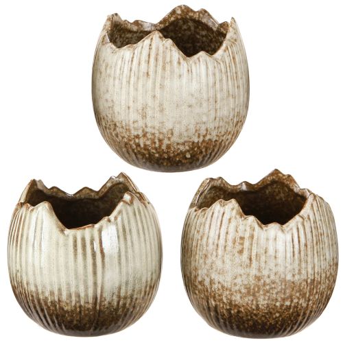 Floristik24 Cache-pot en céramique œuf cassé crème marron Ø9,5 cm 3 pièces