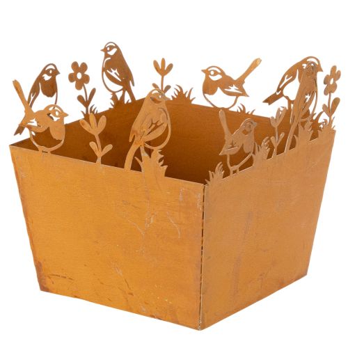 Pot de fleurs en métal avec oiseaux, jardinière, printemps, finition rouille, hauteur 15,5 cm acheter | Floristik24.be
