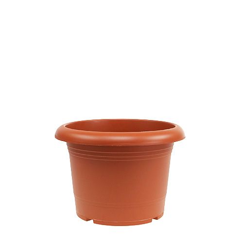 Floristik24 Cache-pot "Oliver" terre cuite Ø15cm