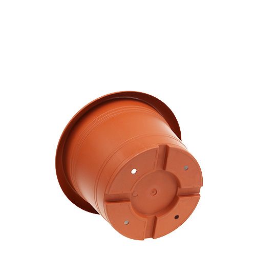 Floristik24 Cache-pot "Oliver" terre cuite Ø15cm