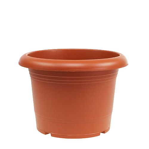 Floristik24 Cache-pot &quot;Oliver&quot; terre cuite Ø25cm