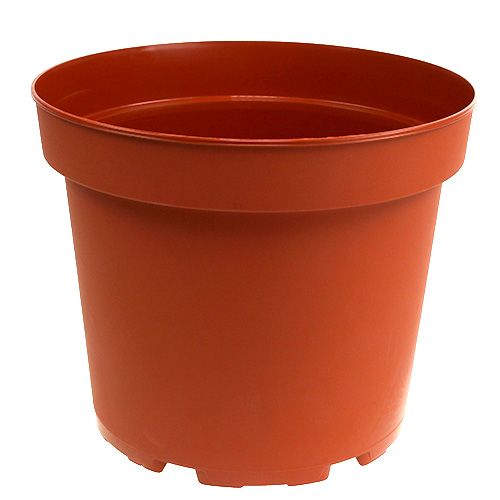 Floristik24 Cache-pot plastique Ø26cm 10pcs