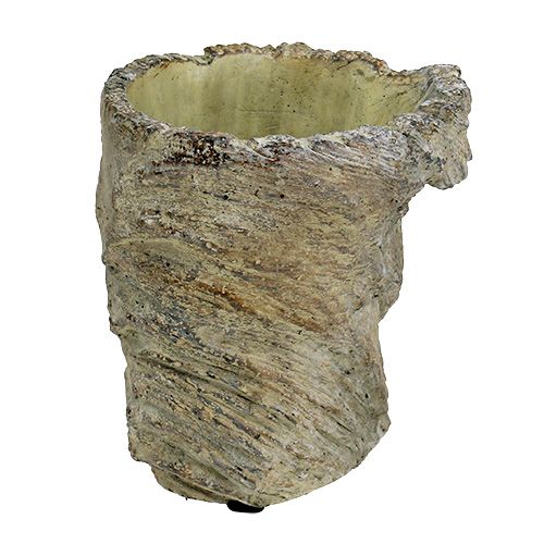 Floristik24 Cache-pot tronc d&#39;arbre Ø11.5cm H14cm 2pcs