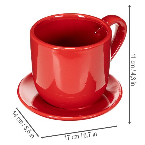 Grande tasse décorative avec soucoupe, pouvant servir de pot de fleurs, 17 cm | Floristik24.be