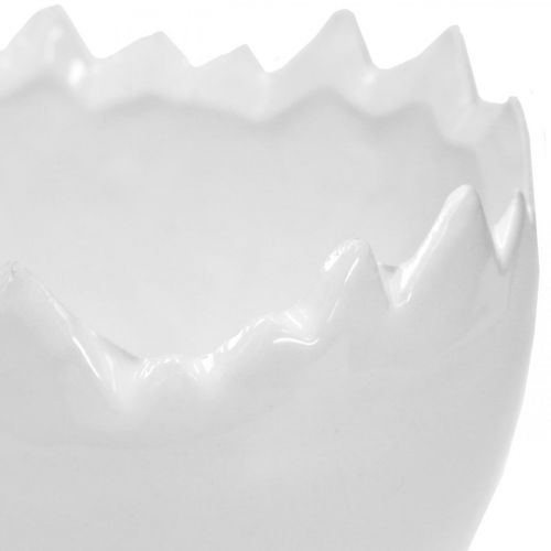 Floristik24 Cache-pot coquille d'oeuf blanc Ø12cm H9cm 2pcs
