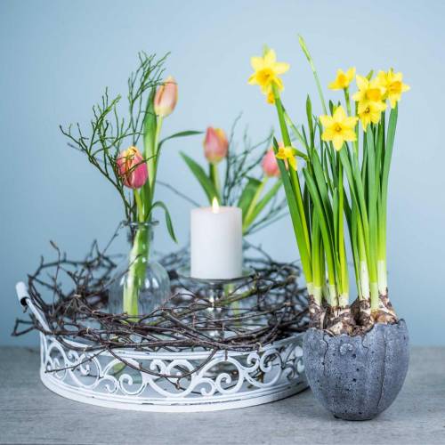 Floristik24 Cache-pot coquille d'oeuf Ø12cm H11.5cm 6pcs