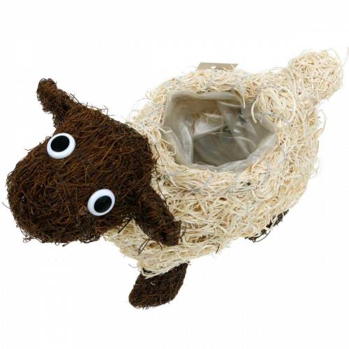 Article Cache-pot vigne de mouton marron blanchi 35×14cm H26cm