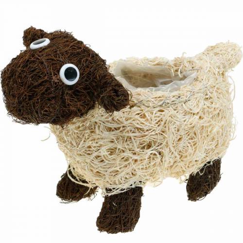 Article Cache-pot vigne de mouton marron blanchi 35×14cm H26cm