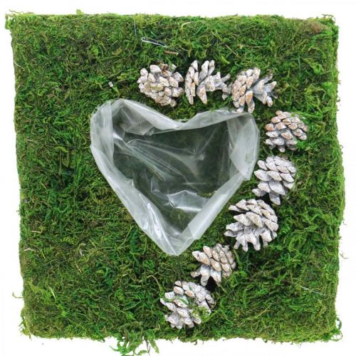 Floristik24 Coussin végétal coeur mousse et cônes, blanc lavé 25×25cm