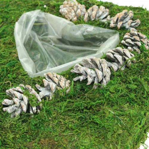 Article Coussin végétal coeur mousse et cônes, blanc lavé 25×25cm