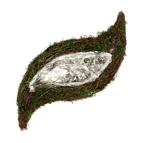 Floristik24 Mousse ondulée végétale avec vigne 28cm x30cm