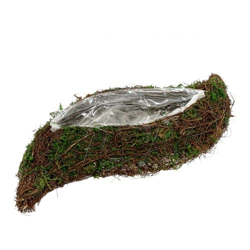 Floristik24 Mousse ondulée végétale avec vigne 28cm x30cm