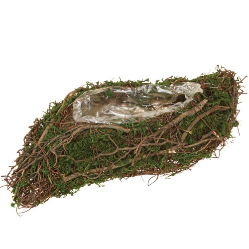 Petit bol à plantes Plant Wave Vines avec mousse 31 × 15 × 7 cm