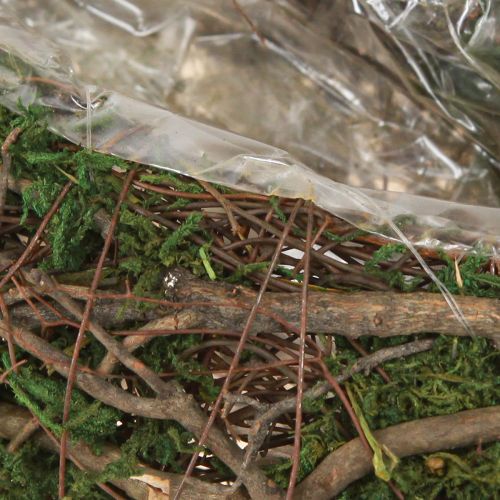 Article Petit bol à plantes Plant Wave Vines avec mousse 31 × 15 × 7 cm