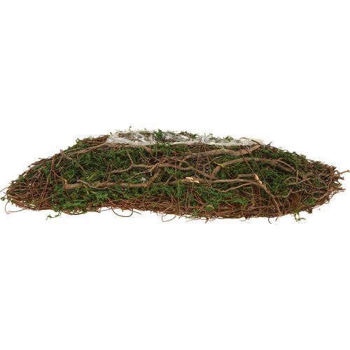 Article Petit bol à plantes Plant Wave Vines avec mousse 31 × 15 × 7 cm