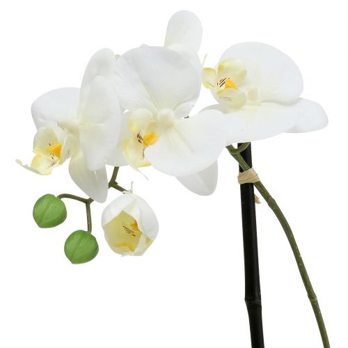 Article Phalaenopsis blanc dans un bol décoration florale H38cm