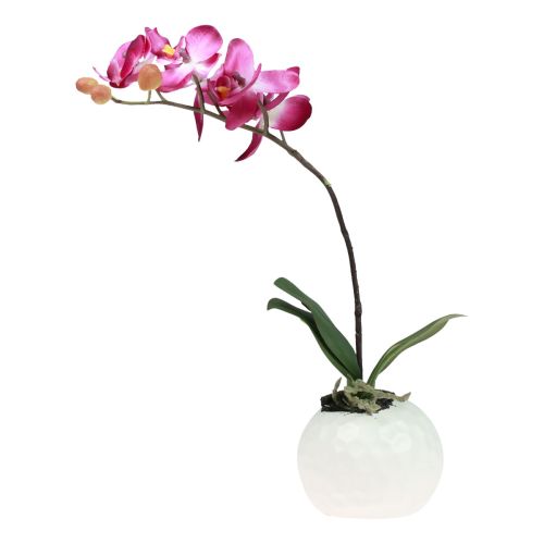 Floristik24 Orchidées artificielles en pot Phalaenopsis fleurs artificielles orchidées rose 34cm