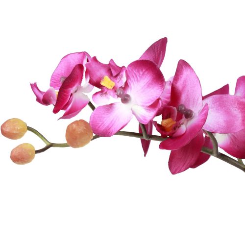 Article Orchidées artificielles en pot Phalaenopsis fleurs artificielles orchidées rose 34cm