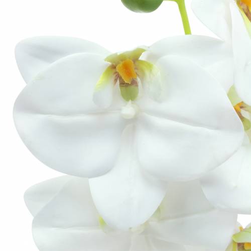 Floristik24 Branche d'orchidée artificielle Phaelaenopsis blanc H49cm