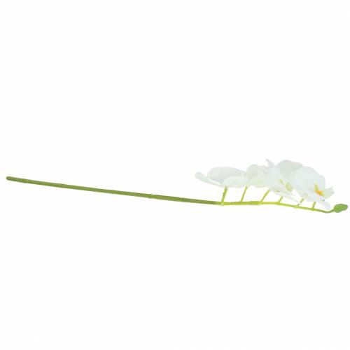 Floristik24 Branche d'orchidée artificielle Phaelaenopsis blanc H49cm