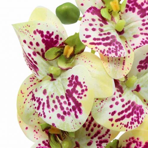 Article Branche d'orchidée artificielle Phaelaenopsis vert rose H49cm
