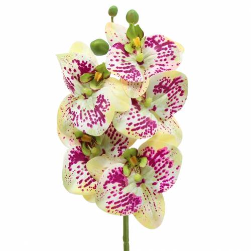 Article Branche d&#39;orchidée artificielle Phaelaenopsis vert rose H49cm