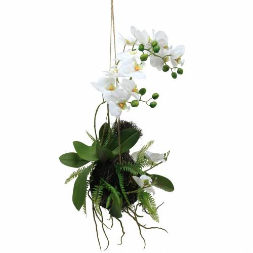 Article Orchidée avec Boules de Fougère et de Mousse Artificielle Blanche à Suspendre 64cm