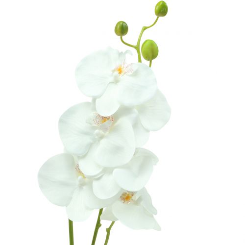 Floristik24 Orchidée Phalaenopsis blanche artificielle 80cm