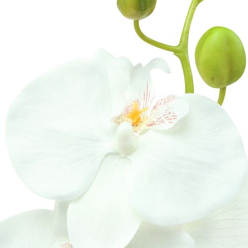 Floristik24 Orchidée Phalaenopsis blanche artificielle 80cm