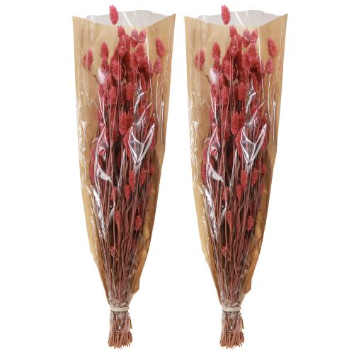 Article Phalaris brillance herbe fleurs séchées rose 64cm 70g × 2pcs