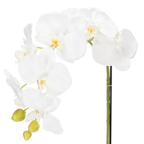 Article Orchidée artificielle, d'un réalisme saisissant, idéale pour la décoration de bureau et de salon, 62 cm