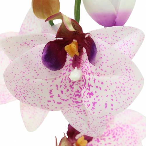 Article Orchidée artificielle phaleanopsis blanc, violet 43cm