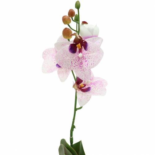 Floristik24 Orchidée artificielle phaleanopsis blanc, violet 43cm